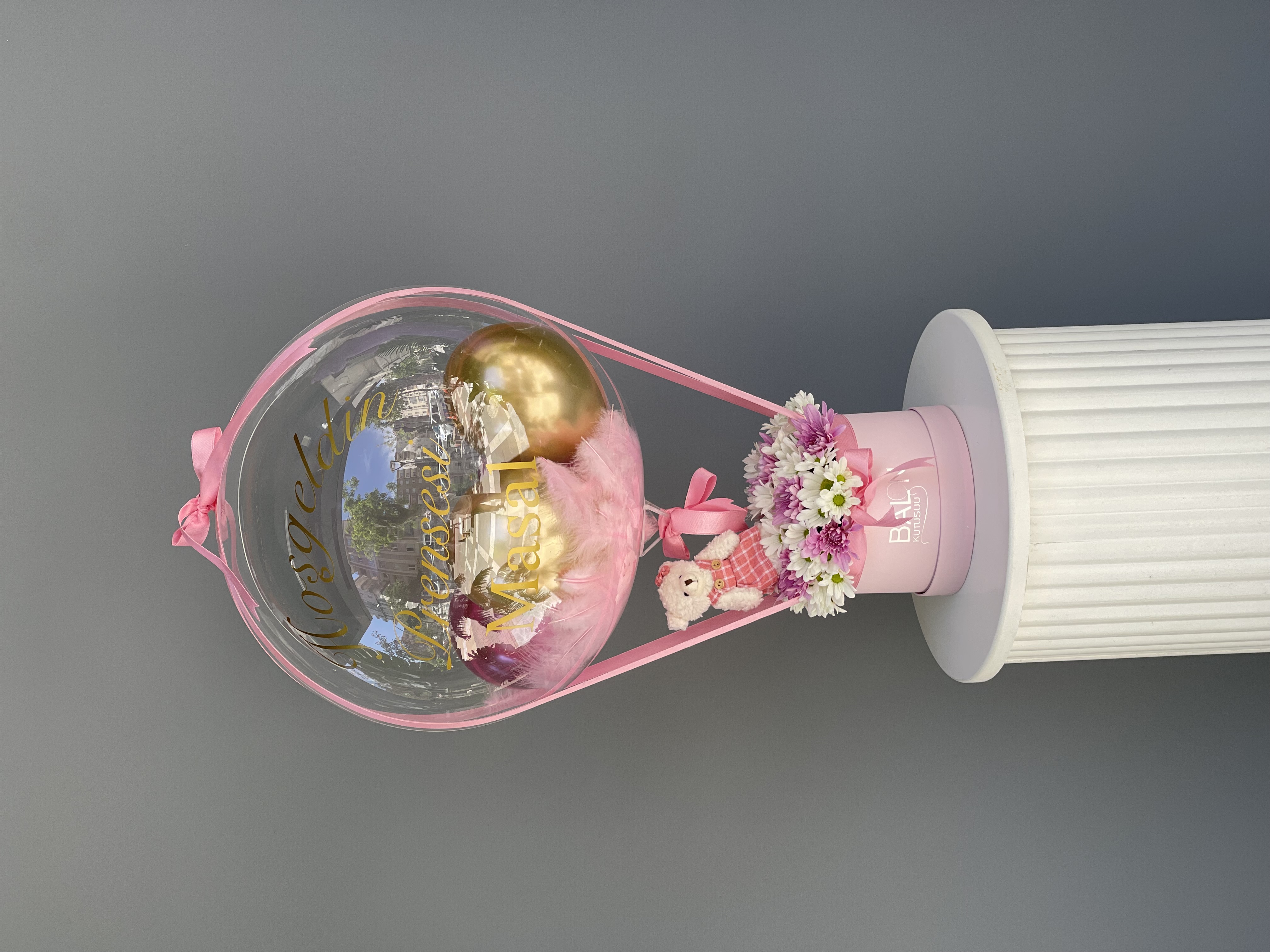 Renkli Papatya Konsept x